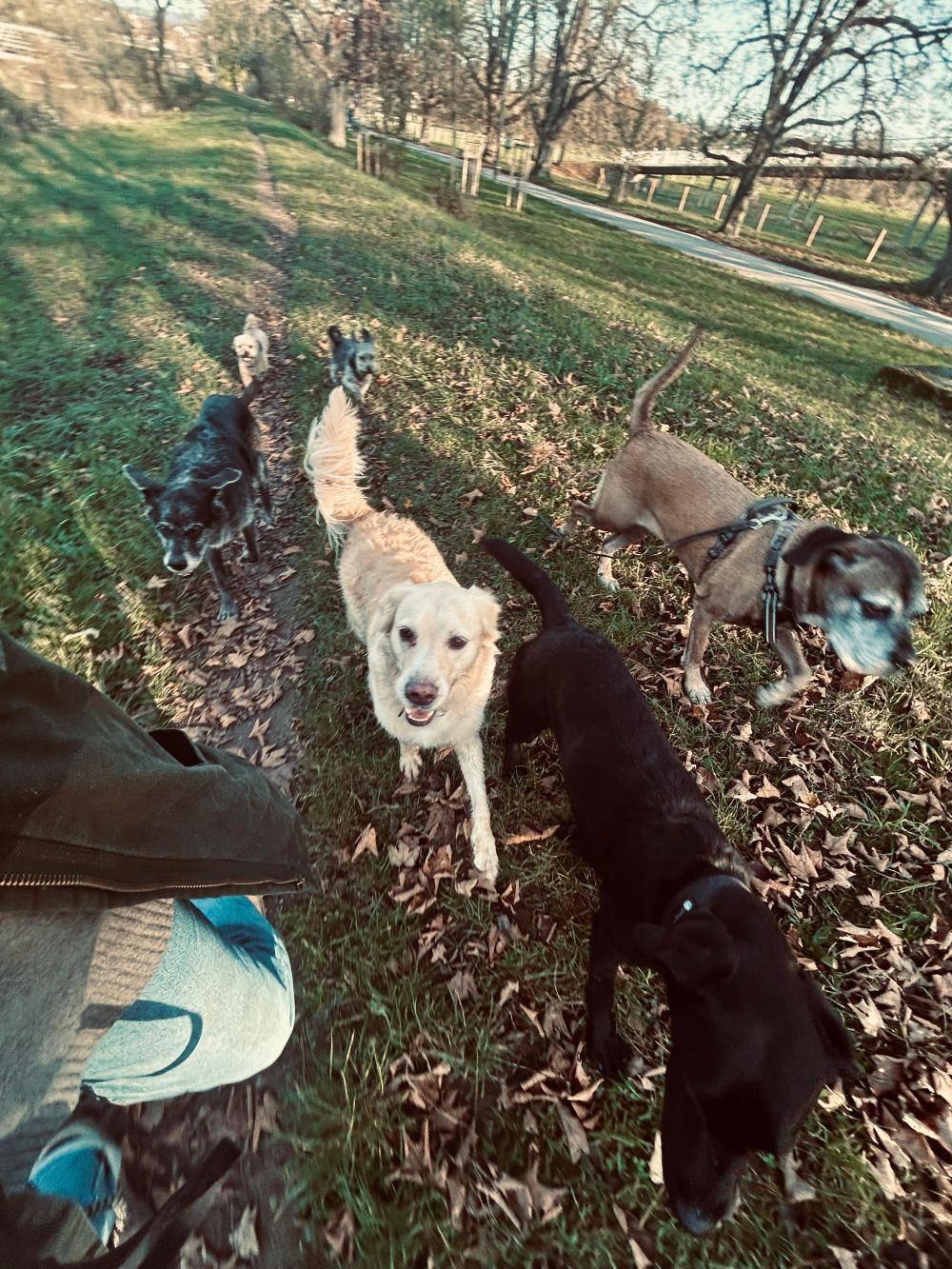 Impression 03